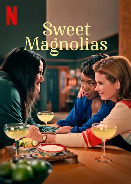 (image for) Sweet Magnolias - Seasons 1-3